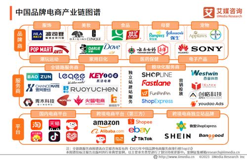2023年中国品牌电商服务商行业研究报告 信息技术咨询服务